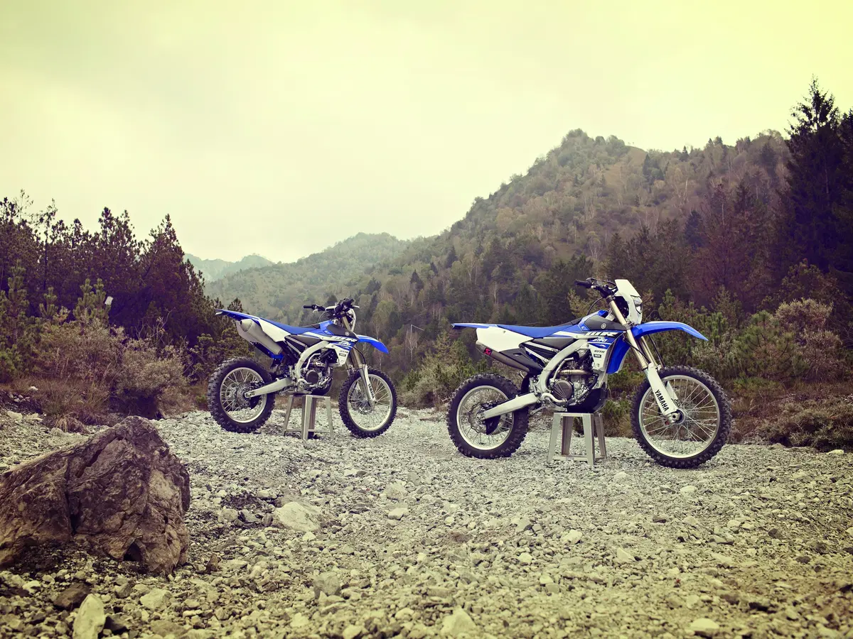 Yamaha WR250F 2015 (12)