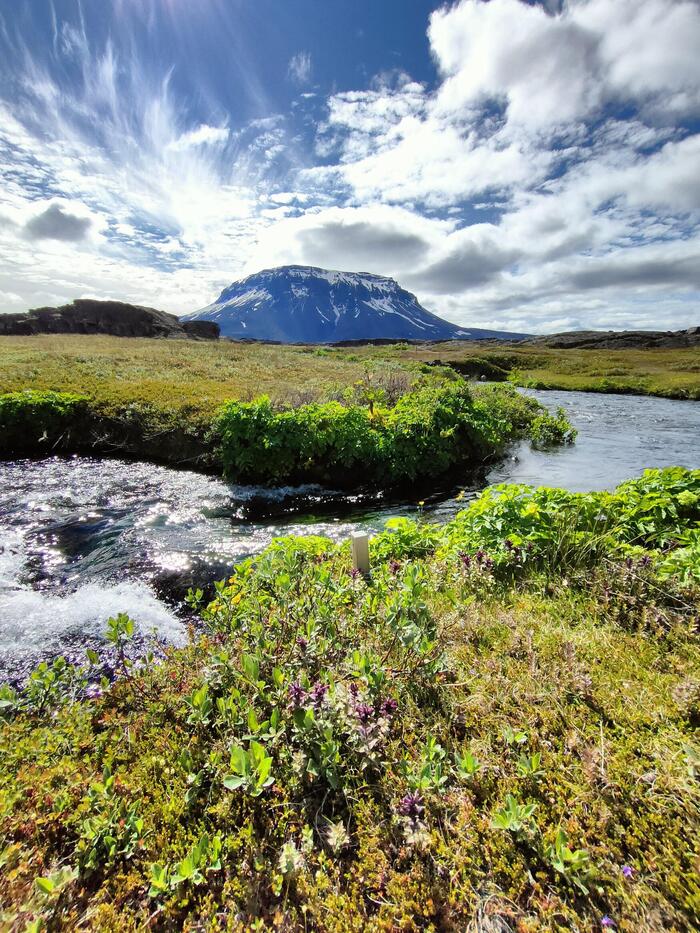 La natura è dirompente in tutta la sua bellezza