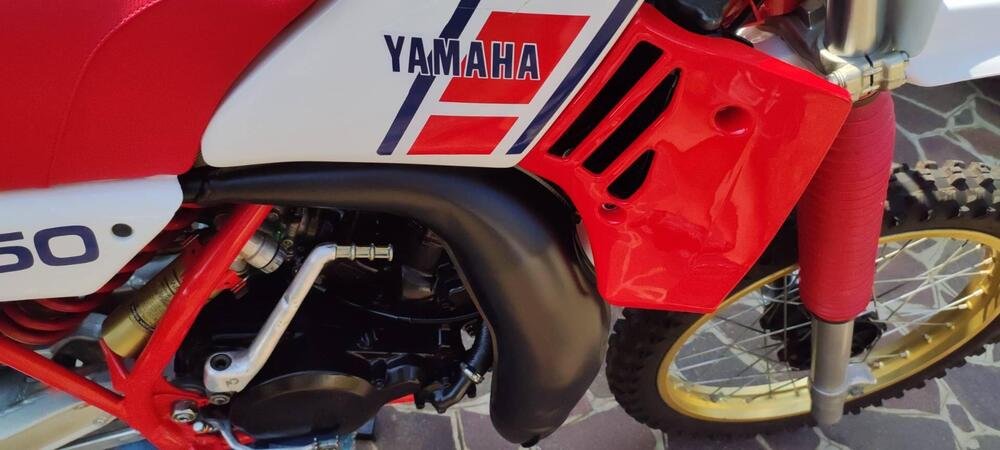 Yamaha Yz 250 (3)