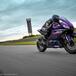 Yamaha YZF-R3 2023: negli USA spunta la livrea Phantom Purple 