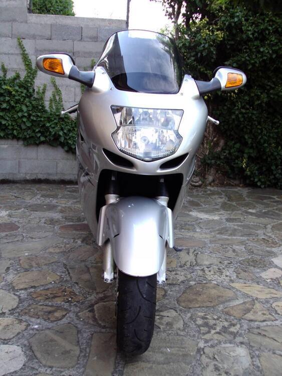 Honda CBR 1100 XX  (2001 - 06) (2)