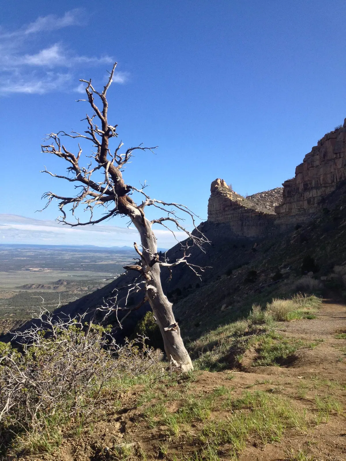 Viaggi in moto: Route 66 e... dintorni (15)