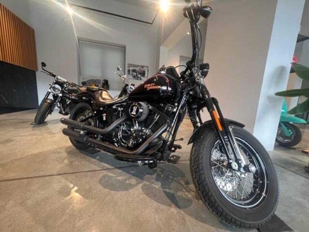 Harley-Davidson 1584 Cross Bones (2008 - 11) - FLSTSB (2)