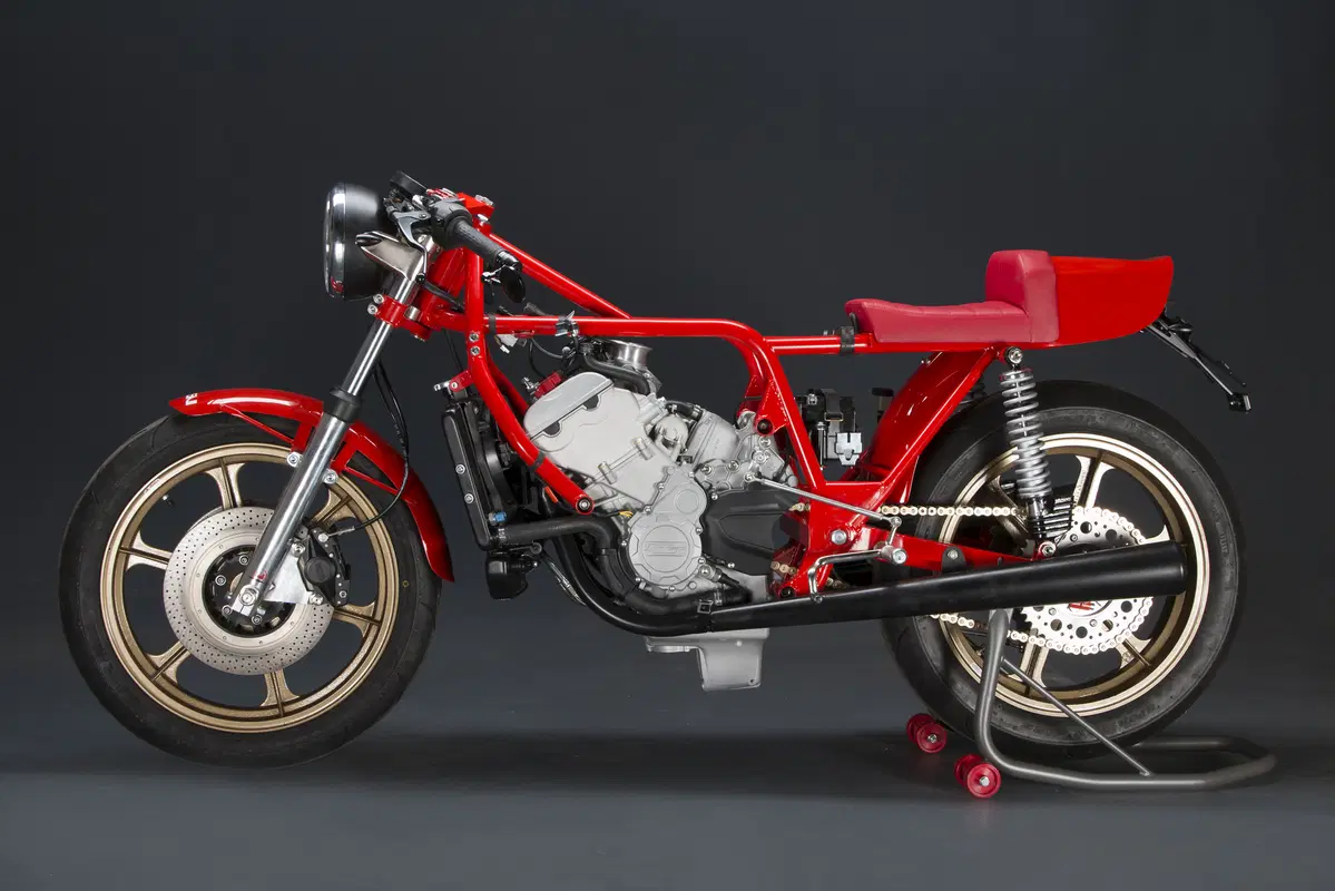 Magni Filo Rosso  (39)