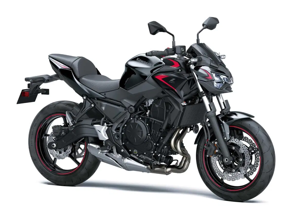 Nuove Kawasaki Z650 e Ninja 650: perché si guidano meglio? (3)