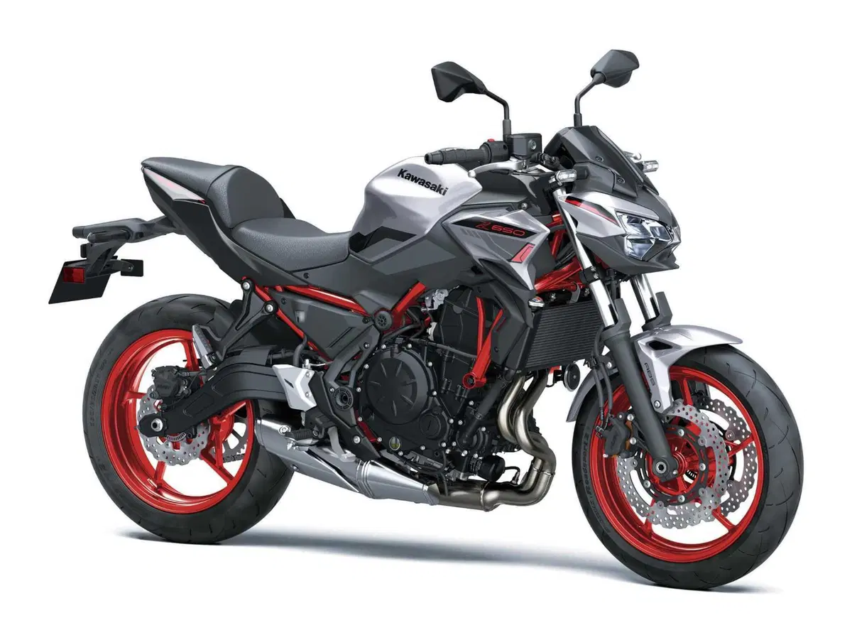 Nuove Kawasaki Z650 e Ninja 650: perché si guidano meglio? (11)
