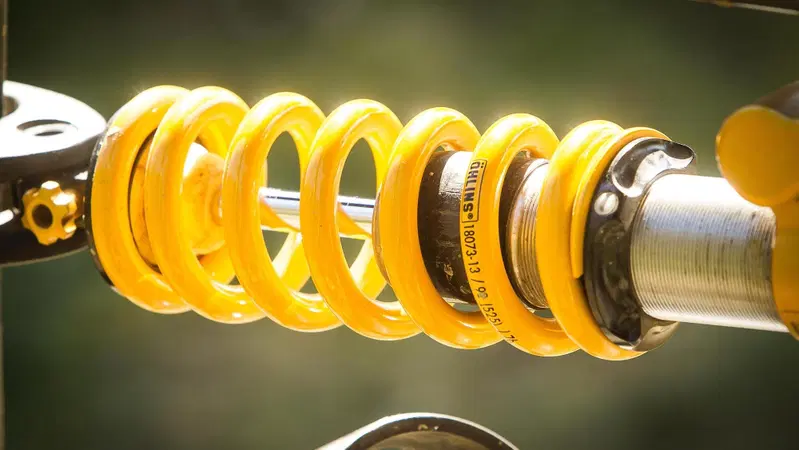 &Ouml;hlins TTX. L'arma definitiva per il gravity [TEST]