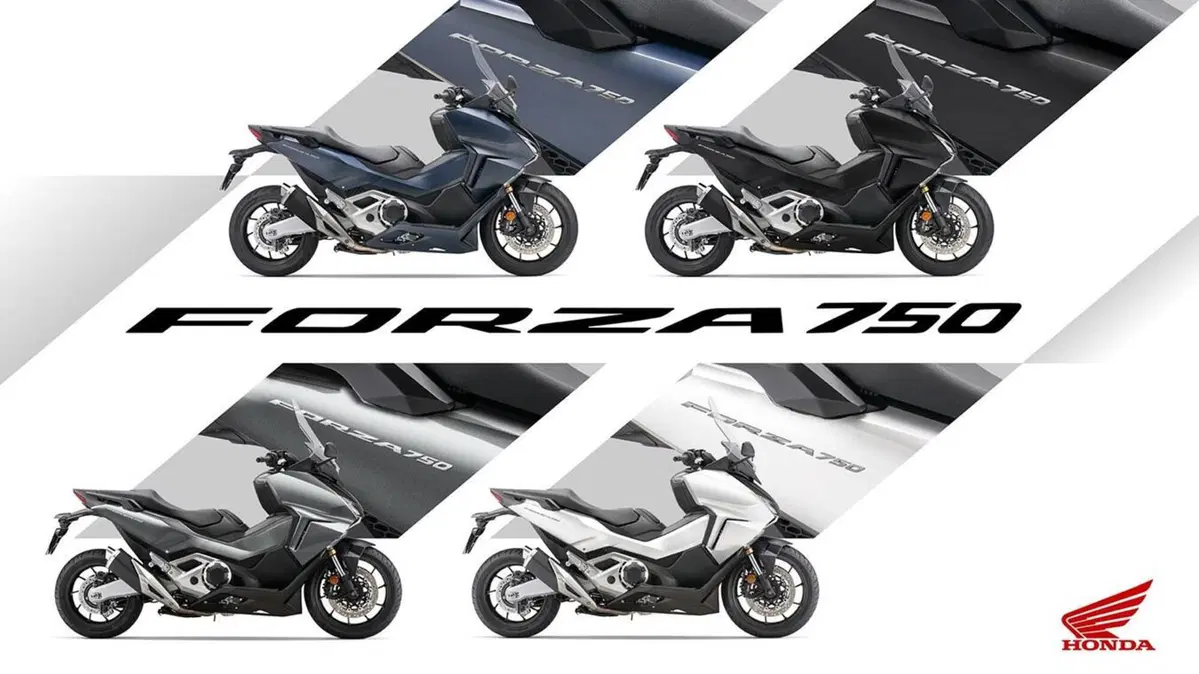 Le nuove livree di quattro bestseller Honda sono tutte qui [GALLERY] (9)