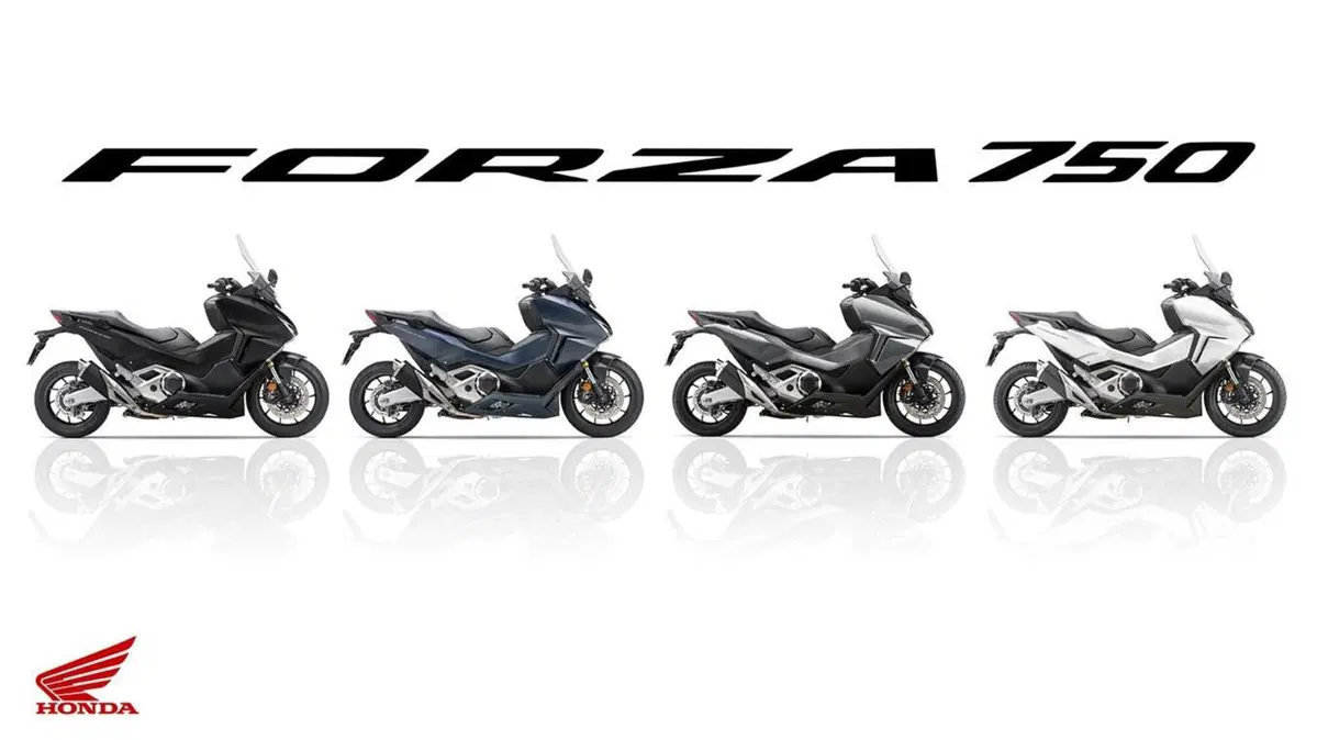 Le nuove livree di quattro bestseller Honda sono tutte qui [GALLERY] (10)