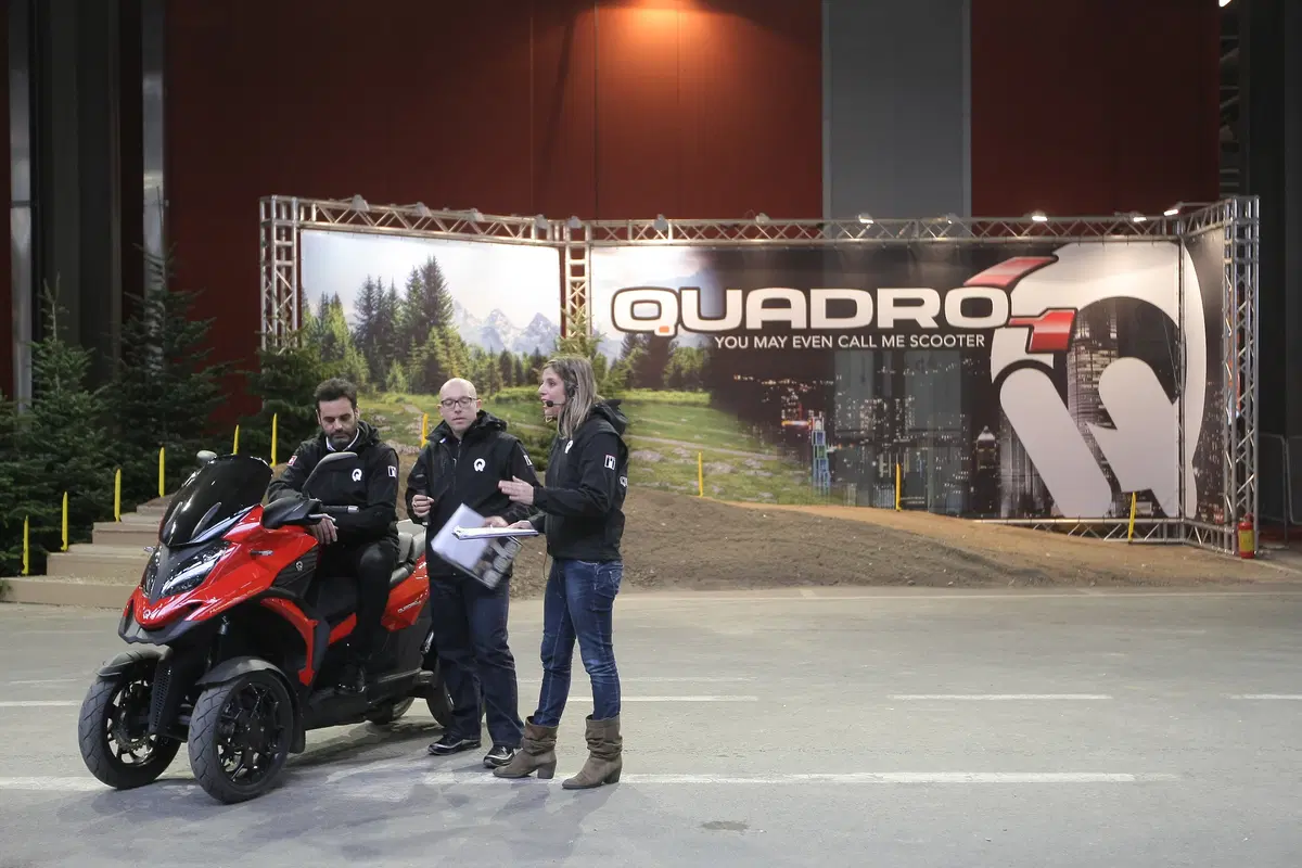 Quadro 4 2015 (4)