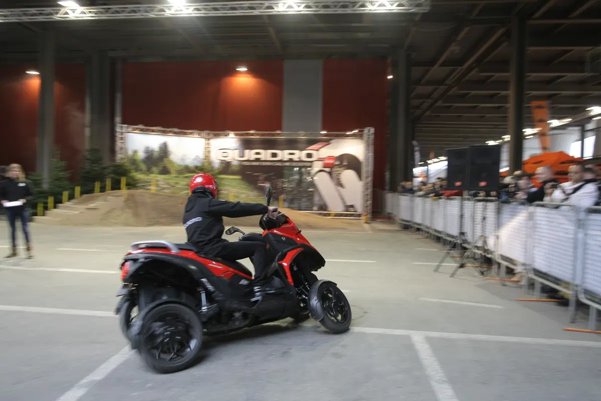 Quadro 4 2015 (5)