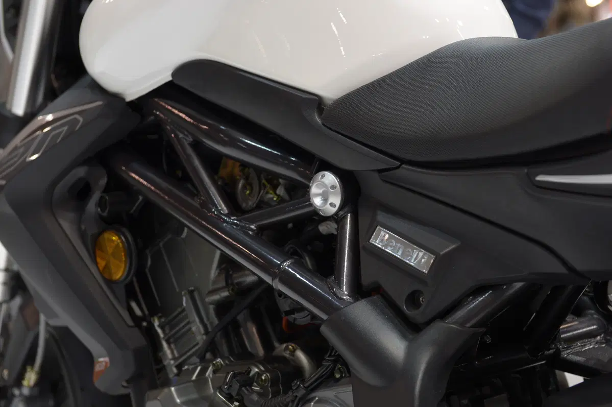 Benelli BN 302 (10)