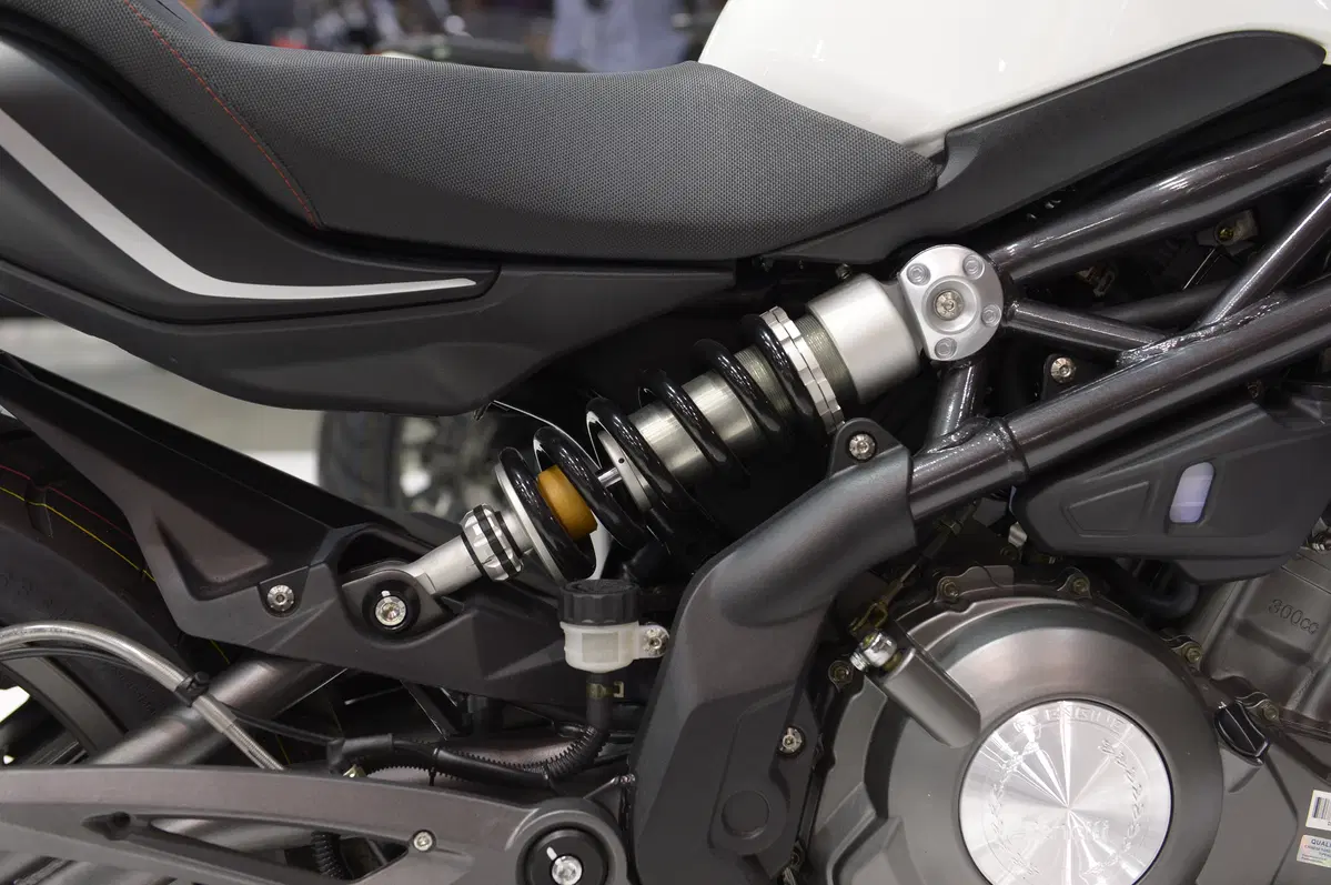 Benelli BN 302 (15)