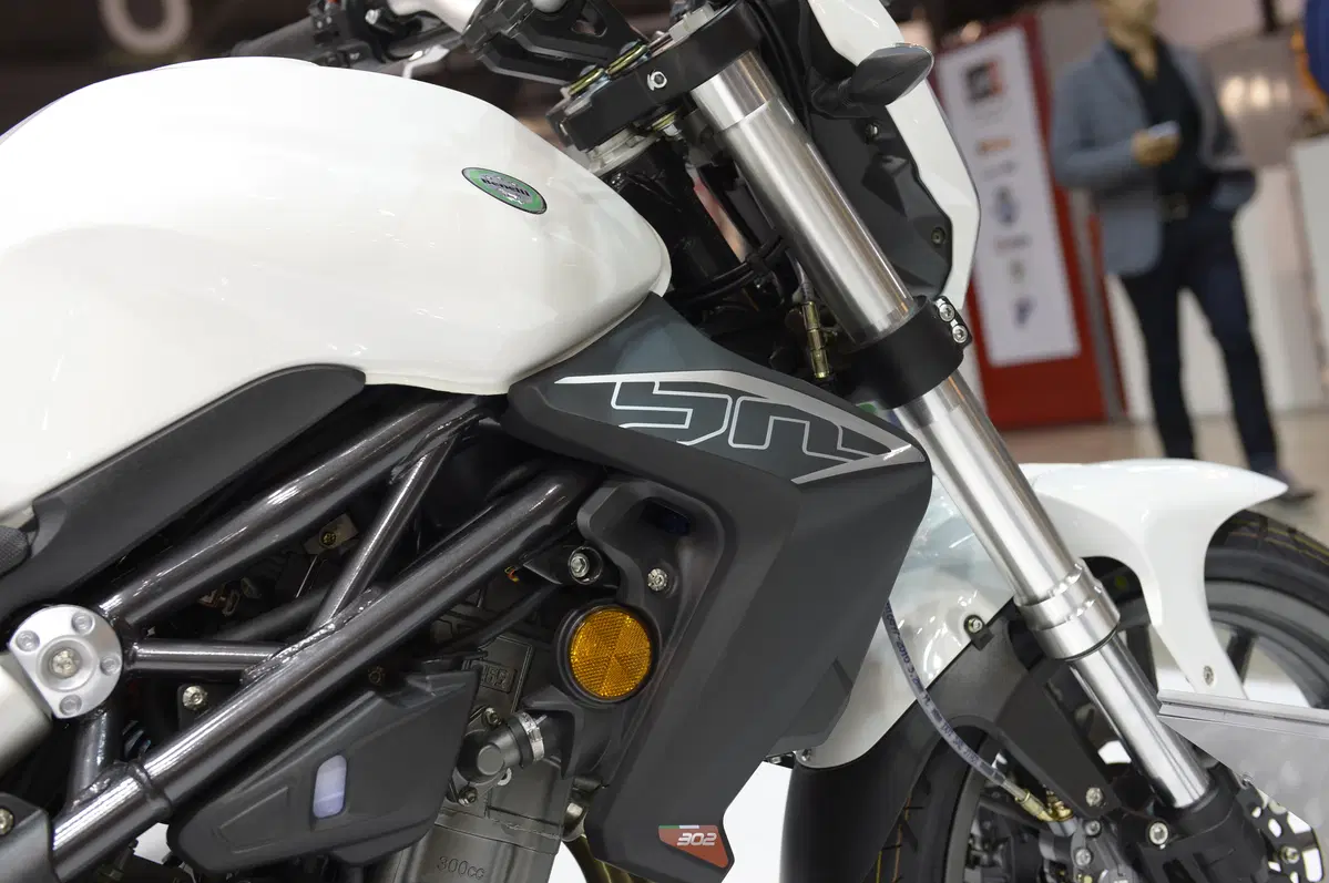 Benelli BN 302 (17)