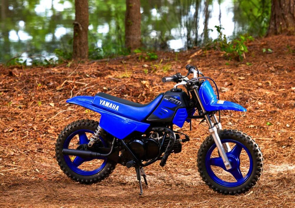 Yamaha PW 50 (2023) (2)