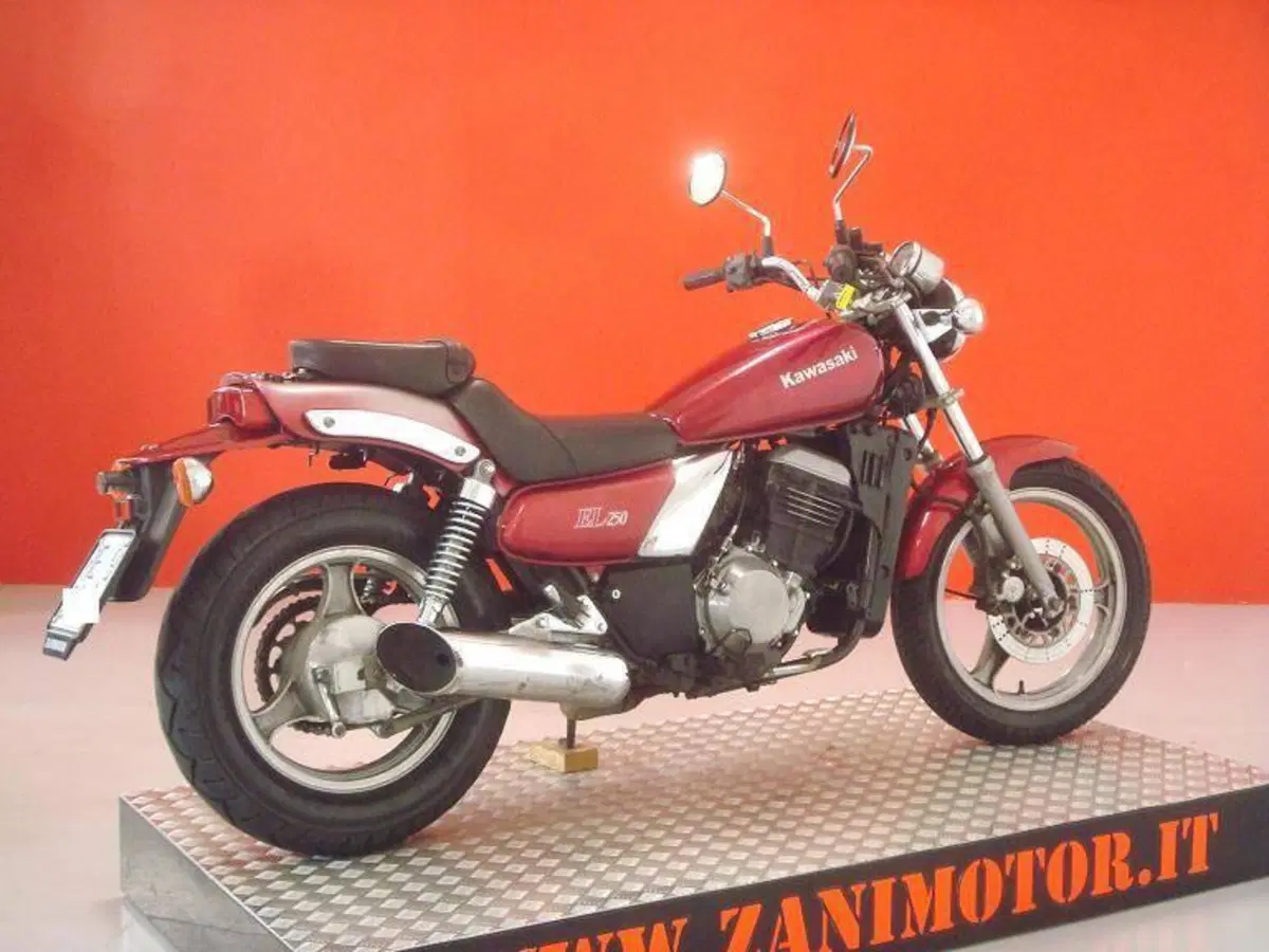 Kawasaki EL 250 (8)