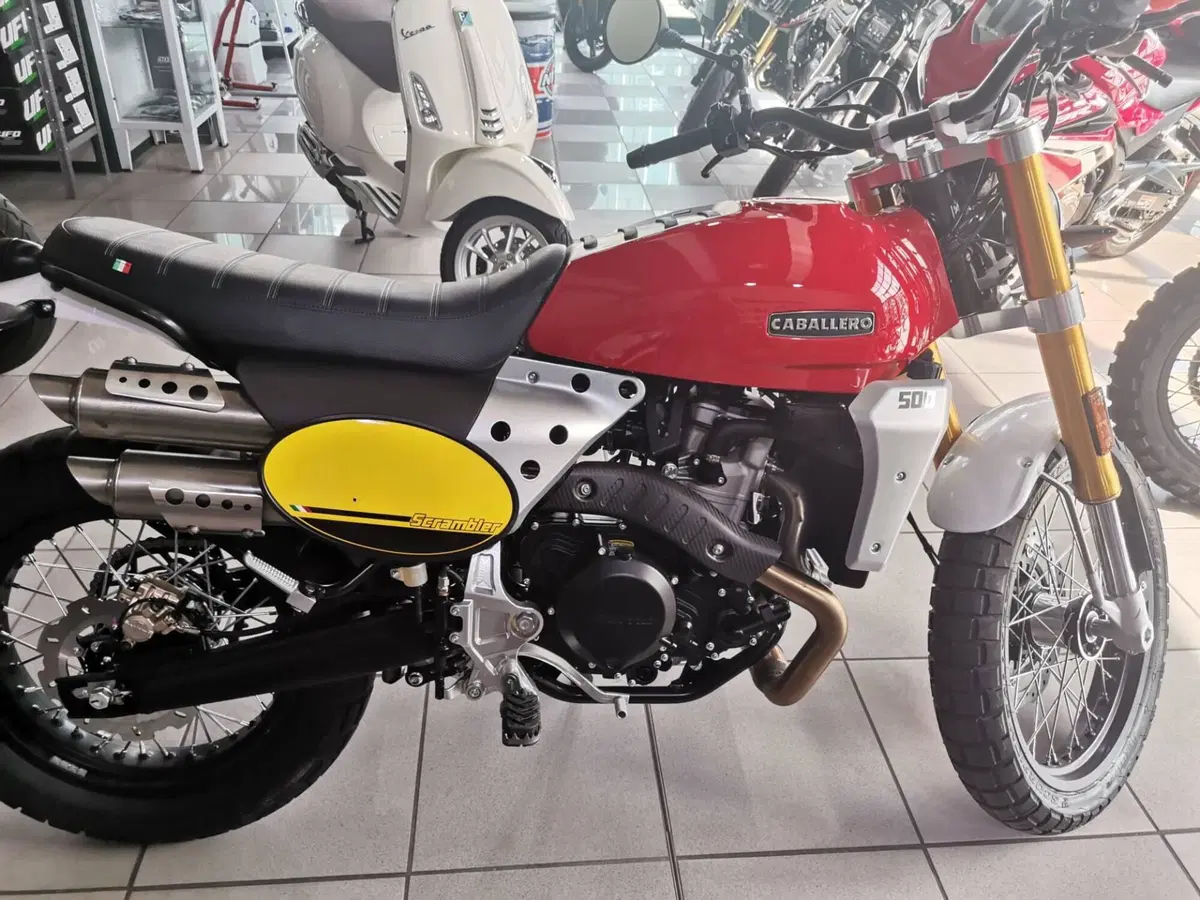 Fantic Motor Caballero 500 Scrambler (2025 - 26) (3)