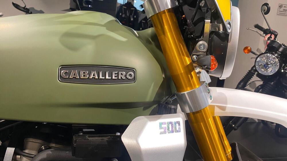 Fantic Motor Caballero 500 Rally (2021 - 23) (5)