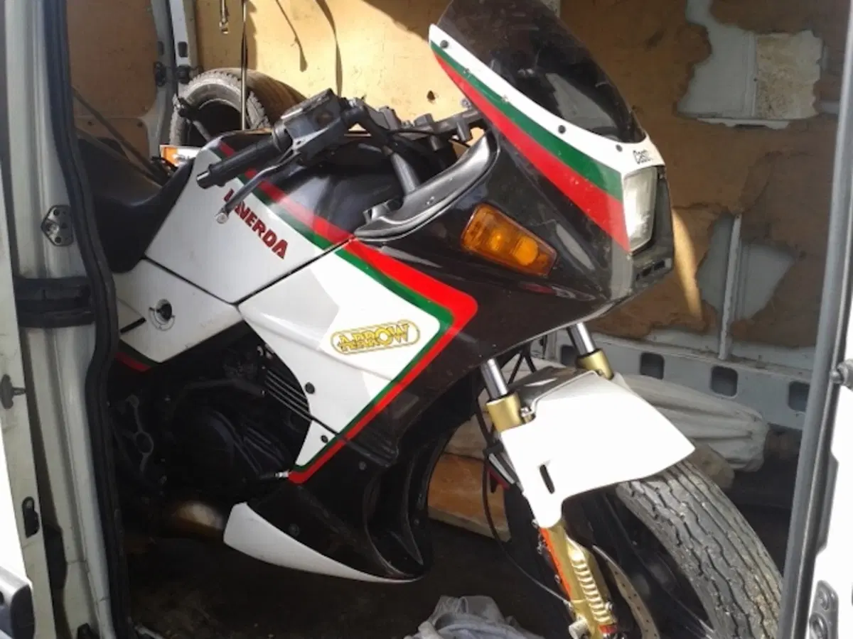 125 stradali a Novegro (5)
