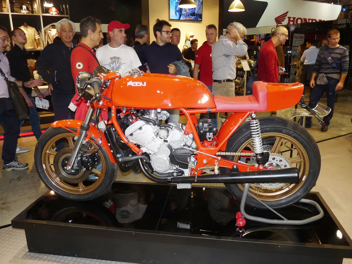 Magni Filo Rosso  (45)