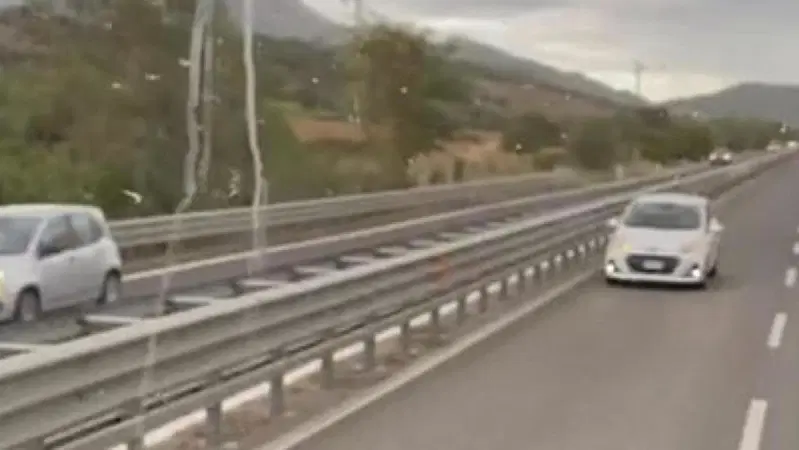 Nuoro, sulla statale in contromano. Camionista blocca il traffico evitando una tragedia