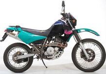 Cagiva W12 350