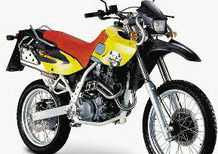 Mz Baghira 660