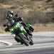 Kawasaki Versys 1000 e Versys 650: sono 13 le varianti del m.y. 2023