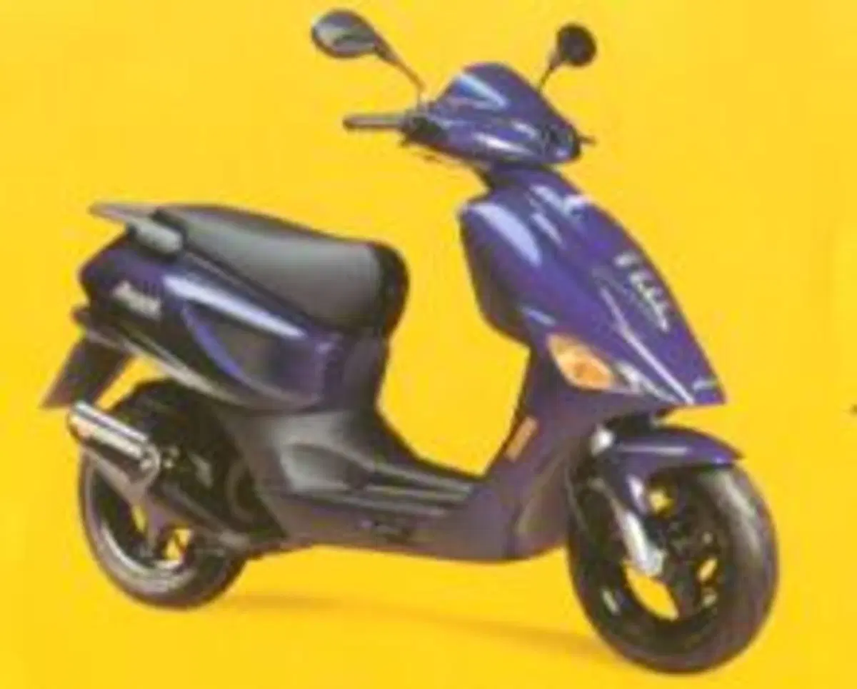 Atala Skeggia 50
