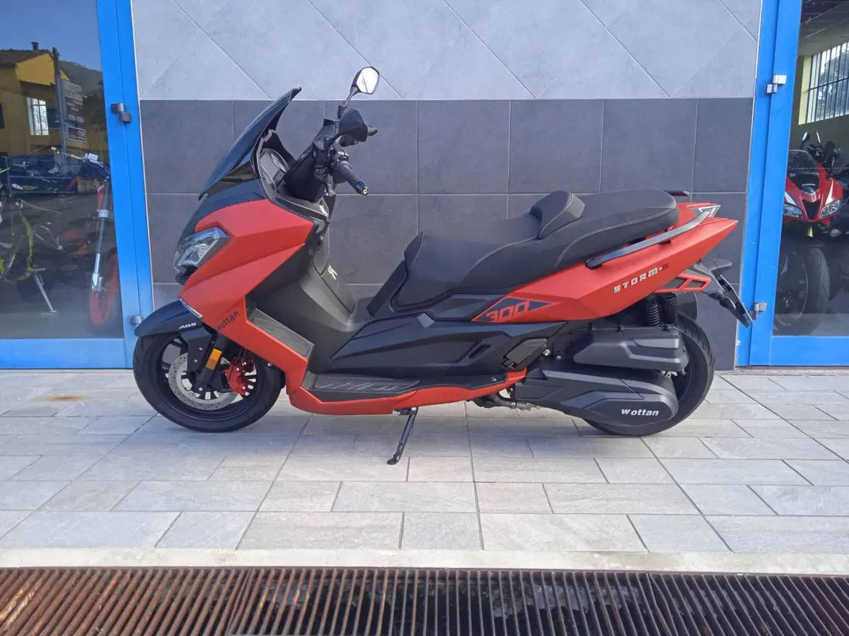 Wottan Motor Storm-S 300 (2020 - 25) (2)