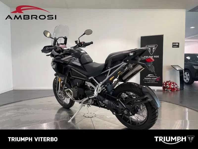 Triumph Tiger 1200 Rally Pro (2022 - 23) (5)