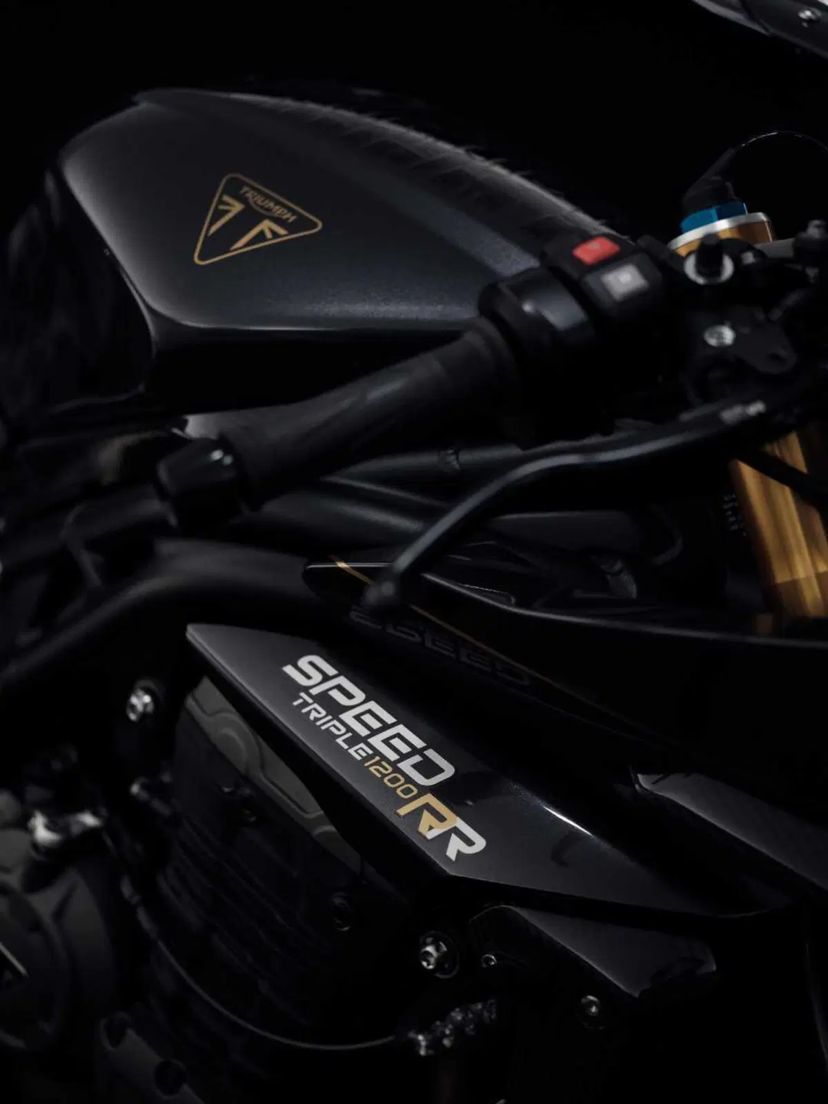 SPECIALE INTERMOT - Triumph Speed Triple 1200 RR Bond Edition: cose da 007... (18)