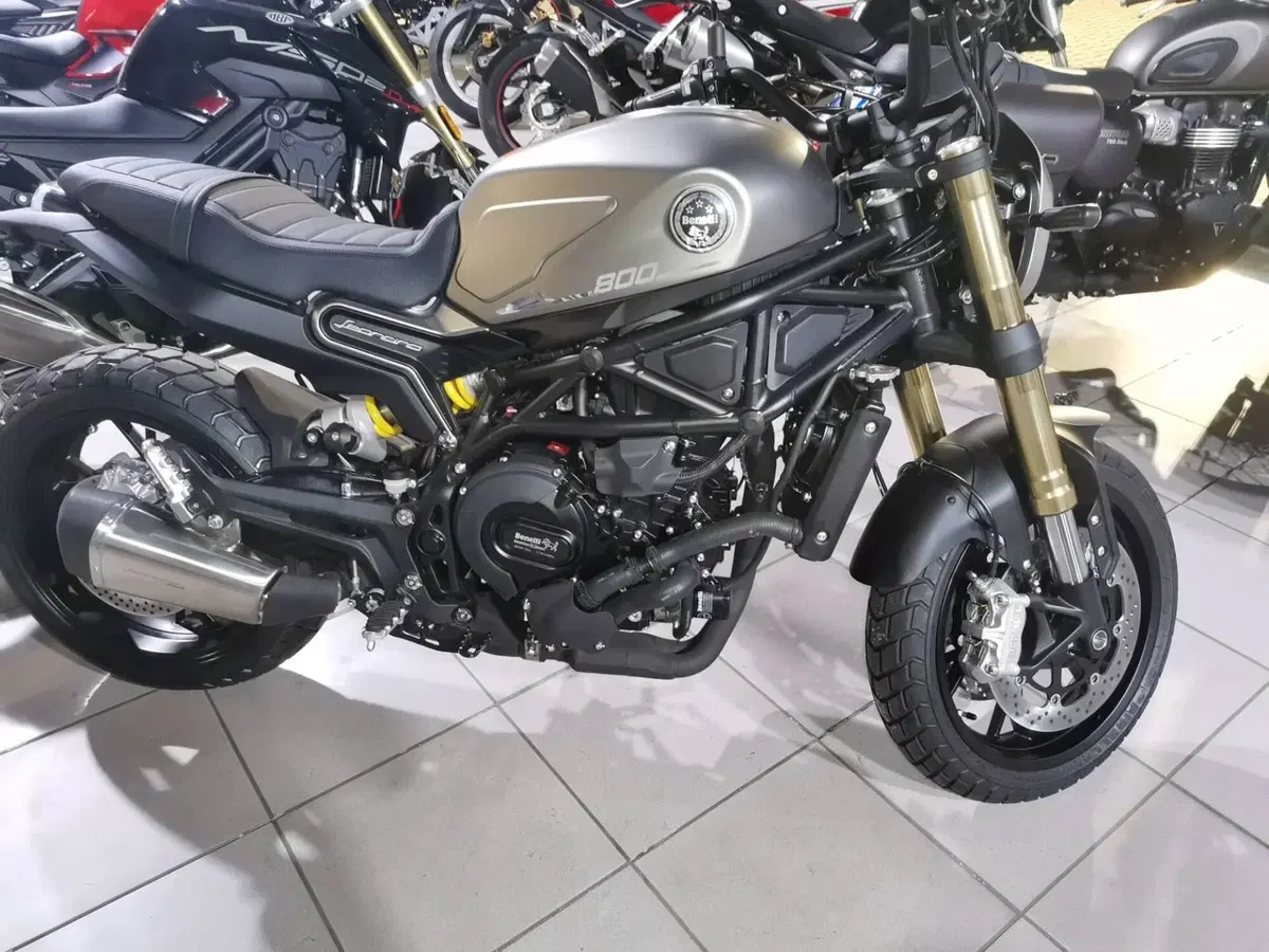 Benelli Leoncino 800 (2022 - 26)