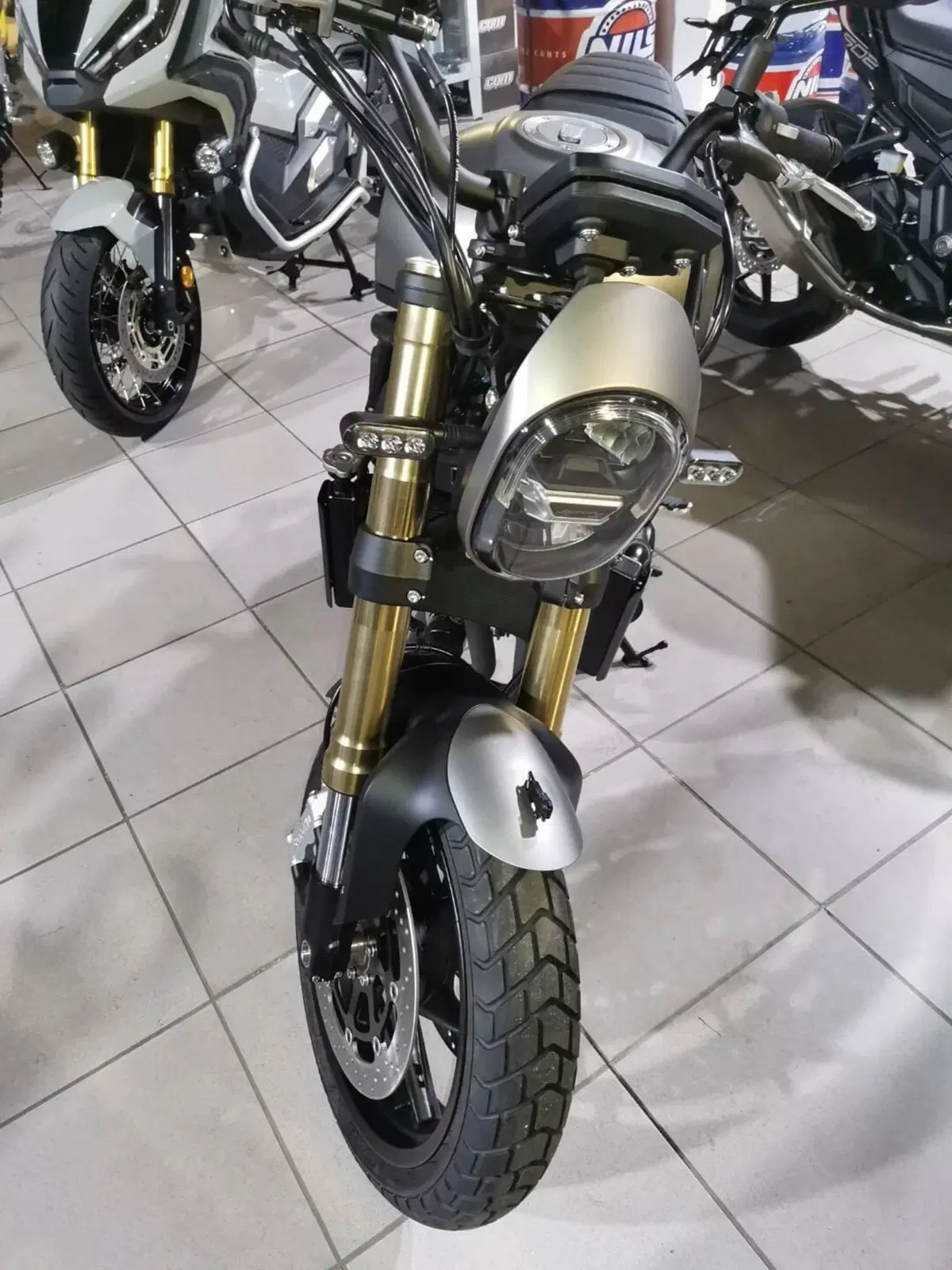Benelli Leoncino 800 (2022 - 26) (2)