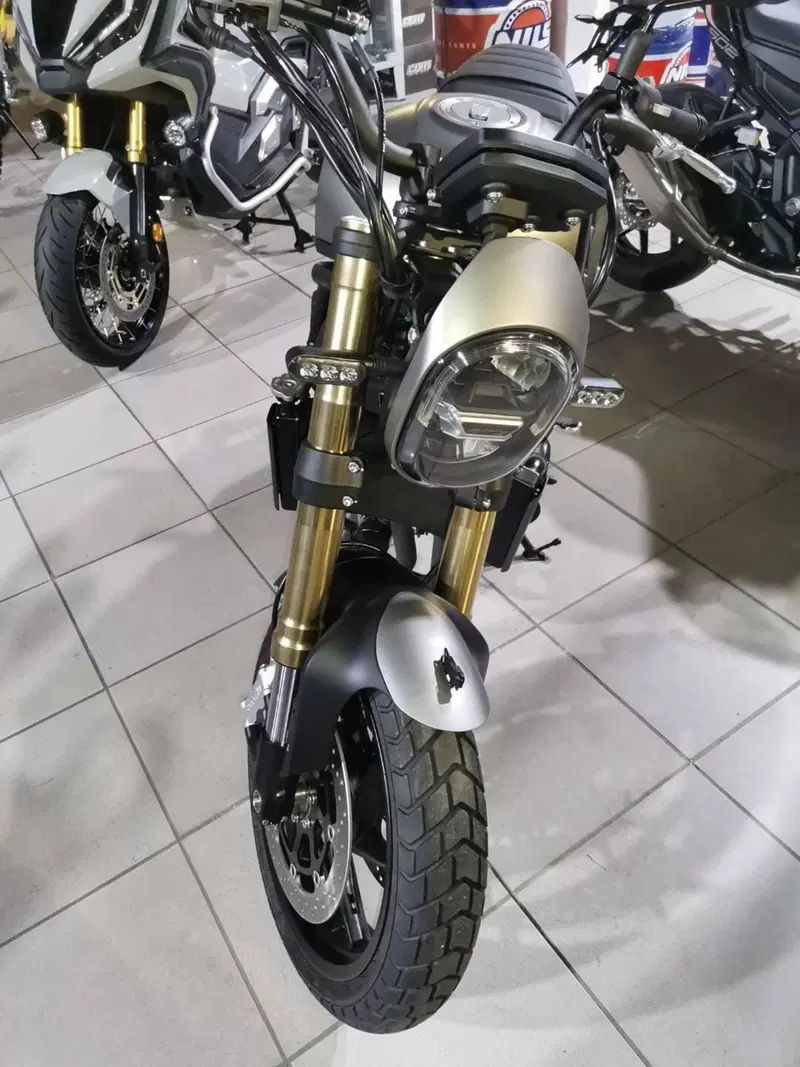 Benelli Leoncino 800 (2022 - 26) (2)