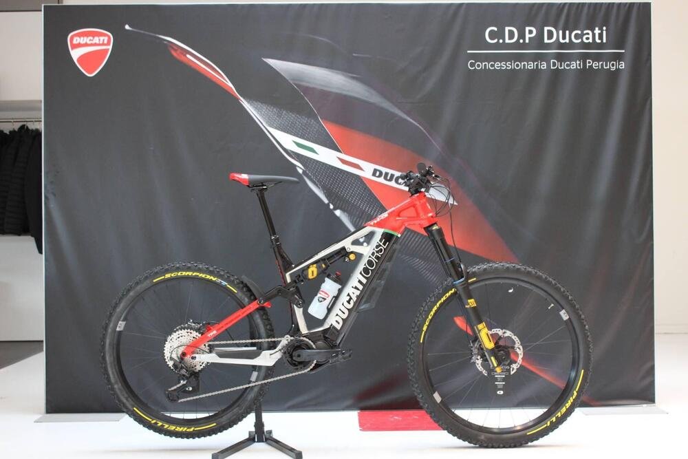 Ducati TK-01RR (2021 - 24) (4)