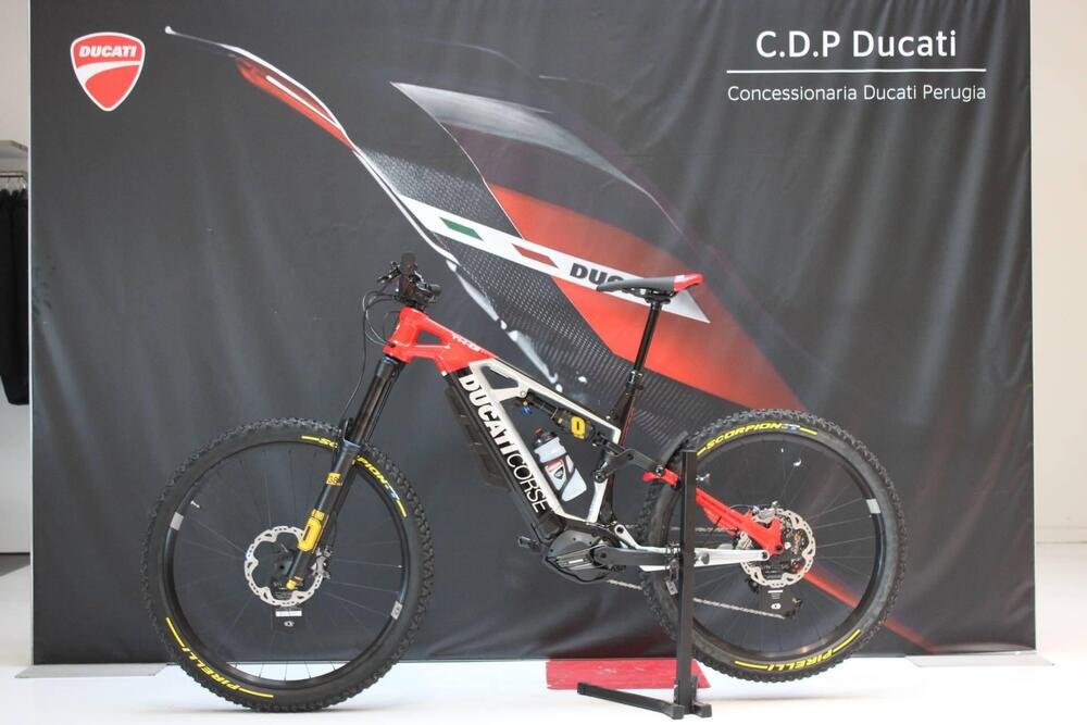Ducati TK-01RR (2021 - 24) (5)