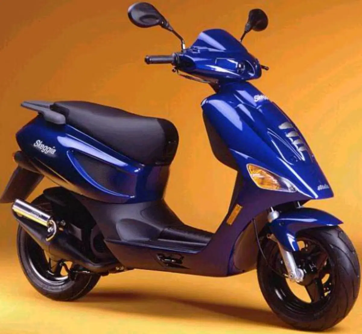 Atala Skeggia 50 cat.