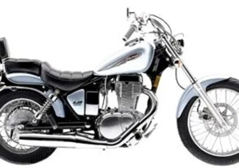 Suzuki LS 650 LS 650 P Savage (2000 - 02)
