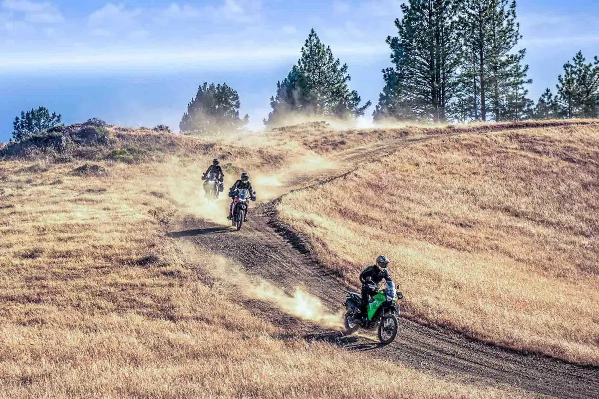 Arriva una nuova Kawasaki KLR 650S. Purtroppo non per noi... (10)