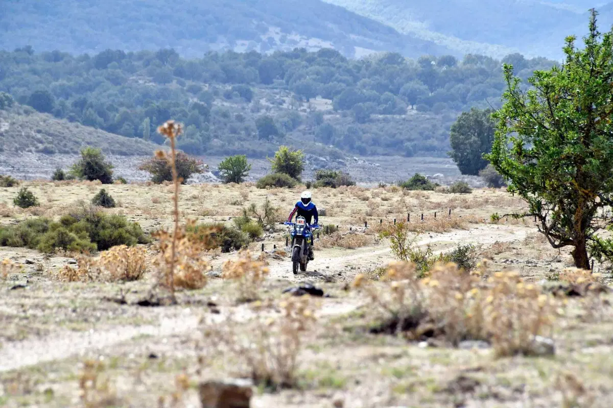 Swank Rally 2022 in Sardegna col botto!  (2)