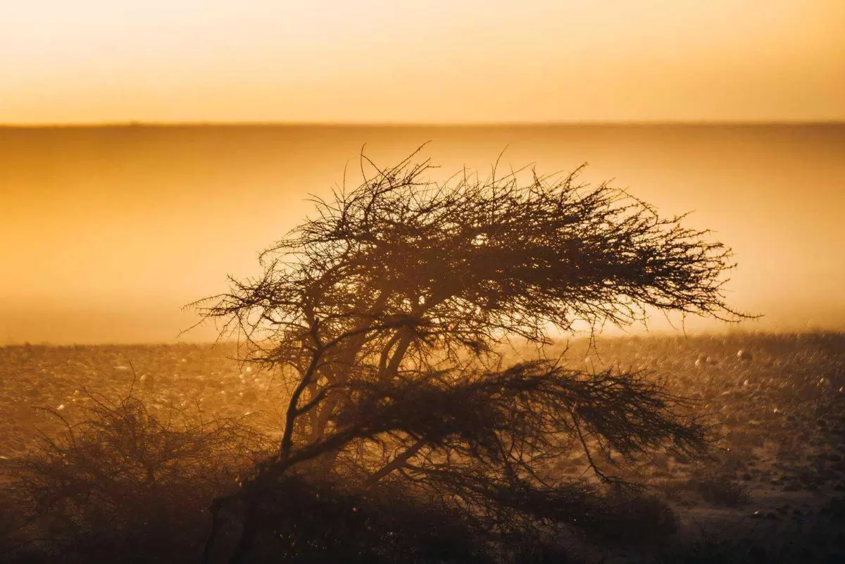 Africa. AFRICA. Finalmente!