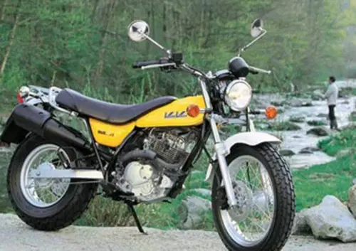 Suzuki Van Van RV 125 (2003 - 06)