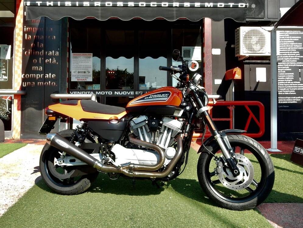 Harley-Davidson 1200 XR (2009 - 12)