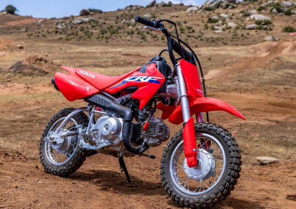 Honda CRF 50 F (2023 - 24) (2)