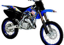 Tm Moto MX 100