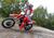 Honda CRF 300 RX Enduro Special (2023) (8)