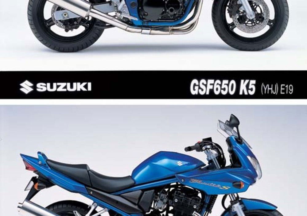 Suzuki GSF 650 Bandit (2005 - 06)