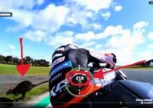 MotoGP 2022. GP d'Australia. Che paura Aleix Espargaro! Un canguro (no!, un wallaby) attraversa la pista e per pochissimo... [VIDEO]