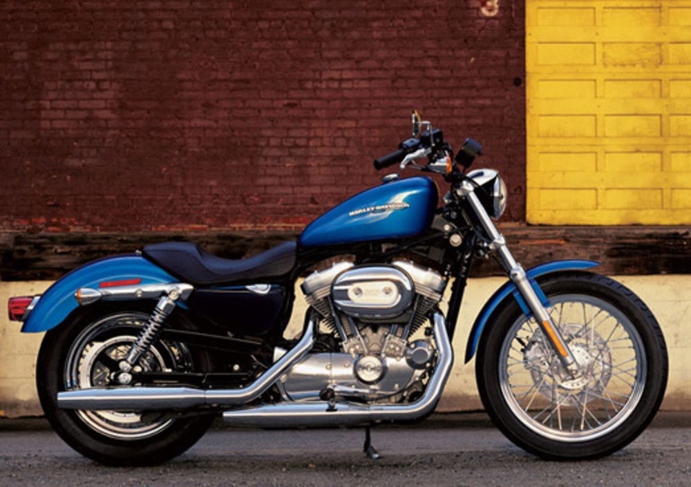 Harley-Davidson 883 Low (2005) - XL 883L